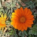 @ashimasinghal6543_ - Instagram