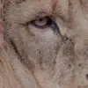 Ashish Agarwal - @ashish.agarwal8 - TikTok