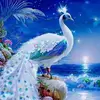 Ashish Ali. - @ashish.ali - TikTok