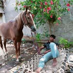 Ashish Chavda - @ashishchavda295 - Instagram