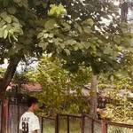 Āšhïśh Ćhhëtrï - @ashishchhetri_11 - Instagram