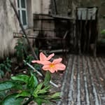 Devashish Iyer - @iyerdevashish - Instagram
