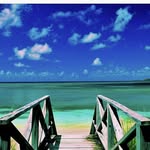 Ashish Jacob - @ashish_jacob_53498 - Instagram