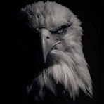 Ashish Kamble - Facebook