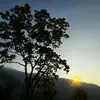 ashish luitel - @ashishluitel60 - TikTok
