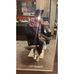 Ashish Macwan - Facebook