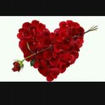 Ashish Midha - @ashish.midha.980 - Instagram