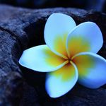 Ashish Pagar - @ashishpagar_ - Instagram