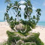 Ashish Parab - @ashish7126 - Instagram
