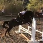 Ashlee Baird - @ab_eventing_nz - Instagram