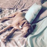 Ashlee Barnes - @fall_winter_summer - Instagram