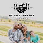 Ashlee Barnes - @hillsidedreamsstables - Instagram