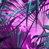 Ashlee Bauer905 - @sassfordays - TikTok