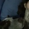 ashlee - @ashleebean14 - TikTok