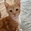 ashleeboyle263 - @ashleeboyle263 - TikTok