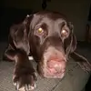 AshMorgan - @ashleeboyle - TikTok