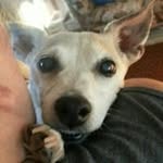 Ashlee Dawson - @ashleeluckyfish - Instagram
