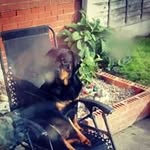 Ashley Donnelly - @ashley.donnelly.14811 - Instagram