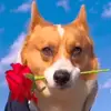 Ashley Griffith - @ashley.griffith3 - TikTok