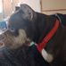 Ashley Holder - Facebook
