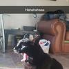 ashleehull436 - @ashleehull436 - TikTok