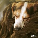Ashlee Martin - @ashleemartin2004 - Instagram