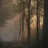 AshleeMorton - @zjp19859t01 - TikTok
