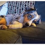 Ashlee Randall - @faintreality_photography - Instagram