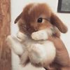 Ashlee spence - @ash.ljs - TikTok