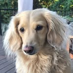 Ashley Vaughan - Facebook