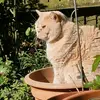 ash.withers - @ash.withers - TikTok