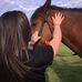 Ashley Dillon - Facebook