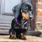 @ashleigh_greer21 - Instagram