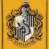 Ash || Hufflepuff || 🦡💛 - @ashleighhufflepuff - TikTok