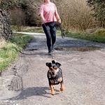 Ashleigh Murphy - @wharfedalemantrailing - Instagram