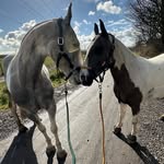 Ashleigh Murphy - @dinkydino_conartist - Instagram