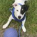 Ashleigh Murphy - Facebook