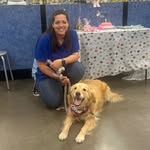 Ashleigh Murphy-Cohen - @ashleighsawesomedogs - Instagram