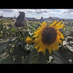 Ashleigh Nero - @a.nero91 - Instagram