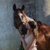 Ashleigh Patrick - @ashleigh.p_equestrian - TikTok