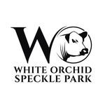 David and Ashleigh Pearson - @white_orchid_speckle_park - Instagram
