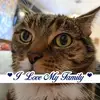 ashleighrees738 - @ashleighrees738 - TikTok