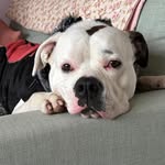 Ashleigh Watson - @hobbitz77 - Instagram