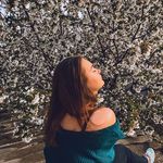 Путешествия | Обзоры | Путеводители - @ashley_abramovich - Instagram