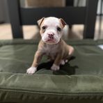 Ashley Abrego - Facebook
