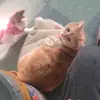 Ashley _alex7 - @ashley_alex8 - TikTok