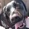 Ashley Vallender - @ashley.vallender - TikTok