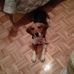 Ashley Altizer - Facebook