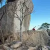 Ashley Altmann - @ashley.altmann - TikTok