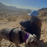 Ashley Busse - @ashleybusseee - Instagram